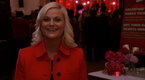 Parks and Recreation: Operation Ann (season 4, episode 14)