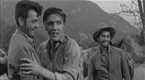 Love Me Tender: Introducing Elvis Presley