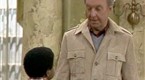 Diff'rent Strokes: A Dog Story