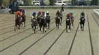 TVG The Toyota Blue Grass Stakes Recap