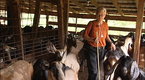 Cooking Up A Story: Evan J. Evans and Her Goats