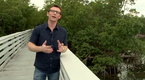 Designing Spaces: How Living Green Saves You Green (season 2, episode 82)