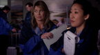 Grey's Anatomy: Migration (season 8, episode 23)