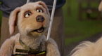 Mongrels: Training Montage
