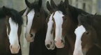 Advertising Age: Budweiser: Instant Replay