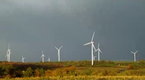 Earth Focus: Filmmaker Laura Israel On "Windfall"