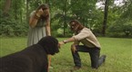 Leave It To Lamas: Dog Daze