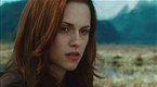 Trailer 2