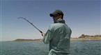 Hooked: Man Vs. Perch