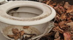 Howcast: How to Replace a Toilet Seat