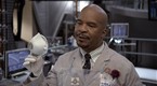 Bones