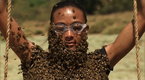 Fear Factor: The Bees Are Angry (season 7, episode 7)