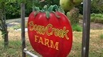 The Kitchen Diva: Visit to Boggy Creek Part 2 (season 1, episode 4)