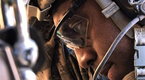 Bomb Patrol Afghanistan:  Is Route X Worth the Risk?