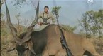 Expedition Safari: Spotting the elusive Lord Derby Giant Eland in Cameroon