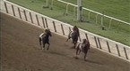 TVG Features:  The Elusive Crown