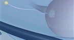 Scientific American Frontiers: Cybersenses (season 15, episode 9)