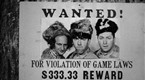 The Three Stooges Collection: Whoops, I'm An Indian (season 1, episode 18)