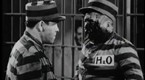 The Three Stooges Collection: Beer Barrel Polecats