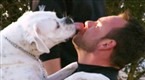 Rescue Ink Unleashed: The Dog House