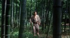 Zatoichi: The Blind Swordsman: Zatoichi and the Fugitives