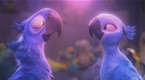 Making a Scene: Rio