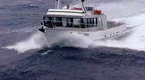 Million Dollar Catch: Market Mayhem (season 1, episode 7)