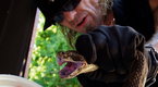 Billy the Exterminator: Rattlesnake