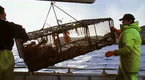 Million Dollar Catch: Final Call (season 1, episode 10)