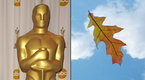 Onion News Network: Leaf from "Tree of Life" Frontrunner for Best Actor Oscar (season 2, episode 107)