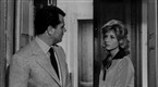 L'eclisse: Elements of Landscape