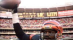 Team Highlights: Cincinnati Bengals