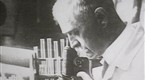 Milestones in Science &amp; Engineering: Karl Landsteiner and the AB0 Blood Group System