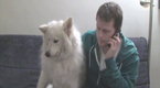 Howcast: How to Respond to a Dog Food Recall