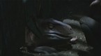 The Lost World: Digging