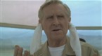 Hot Shots!: Earplugs