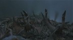 Jurassic Park III: Baby Dinosaur Food