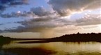 Wild: Journey Into Amazonia: The Land Reborn (season 1, episode 2)