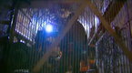 Critical Rescue: Trapped (season 1, episode 10)