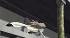Legends of the Dark King: A Fist of the North Star Story: The King of Fist's Office Is Falling! (season 1, episode 12)