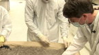 Crime 360: Human Bone Identification