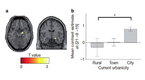 FORA.tv Environment: Is City Living Bad for Your Brain?