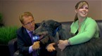 Westminster Kennel Club Dog Show: The Media Tour