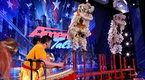 America's Got Talent: Emily Anne Band, Kellen Erskine, Lion Dance Me