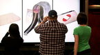 Late Night with Jimmy Fallon: Cell Phone Shootout, Part 2