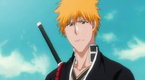 Bleach 366 (season 16, episode 366)