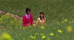 Spring Waltz: Episode 20 (season 1, episode 20)