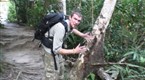 Beast Hunter: Coconut Ants
