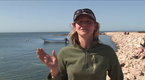 Travel with Kids: Baja Mexico: Whale Adventure (season 4, episode 12)