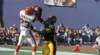 Team Highlights: Cincinnati Bengals